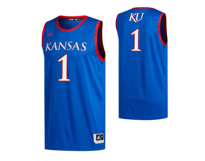 Youth Kansas Jayhawks #1 Dedric Lawson Royal Authentic College Basketball Jersey