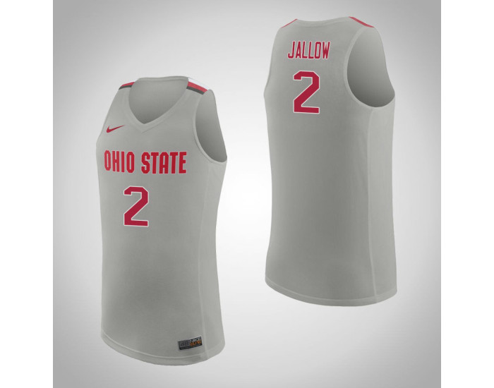Ohio State Buckeyes #2 Musa Jallow Replica College Basketball Jersey Pure Gray