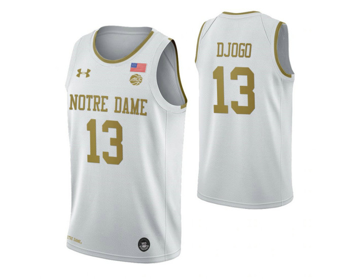 Nikola Djogo Notre Dame Fighting Irish White Authentic College Basketball Jersey